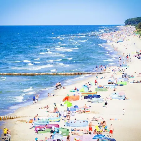 Klifowa 22 ريفال